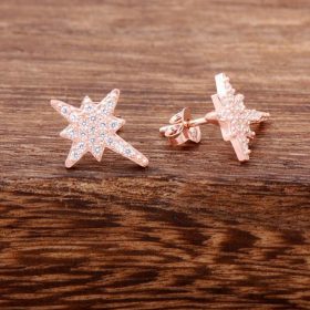 Rose Star Earrings with North Star Design 3754
