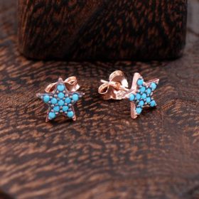 Star Rose Silver Earrings 2347