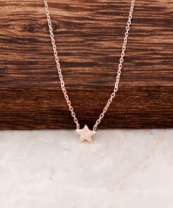 Star Rose Silver Mini Necklace 6434