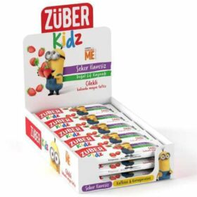 Kidz Strawberry And Cocoa Fruit Dessert Unsweetened Natural Fiber Source, 30g x 16 Bars