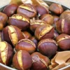 Turkish Chestnut (Kestane), Premium Size